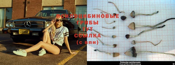 наркотики Балахна
