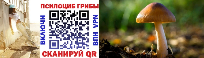 Псилоцибиновые грибы Magic Shrooms  Зеленодольск 